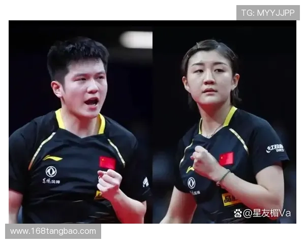 奥运冠军陈梦樊振东意国观冬奥